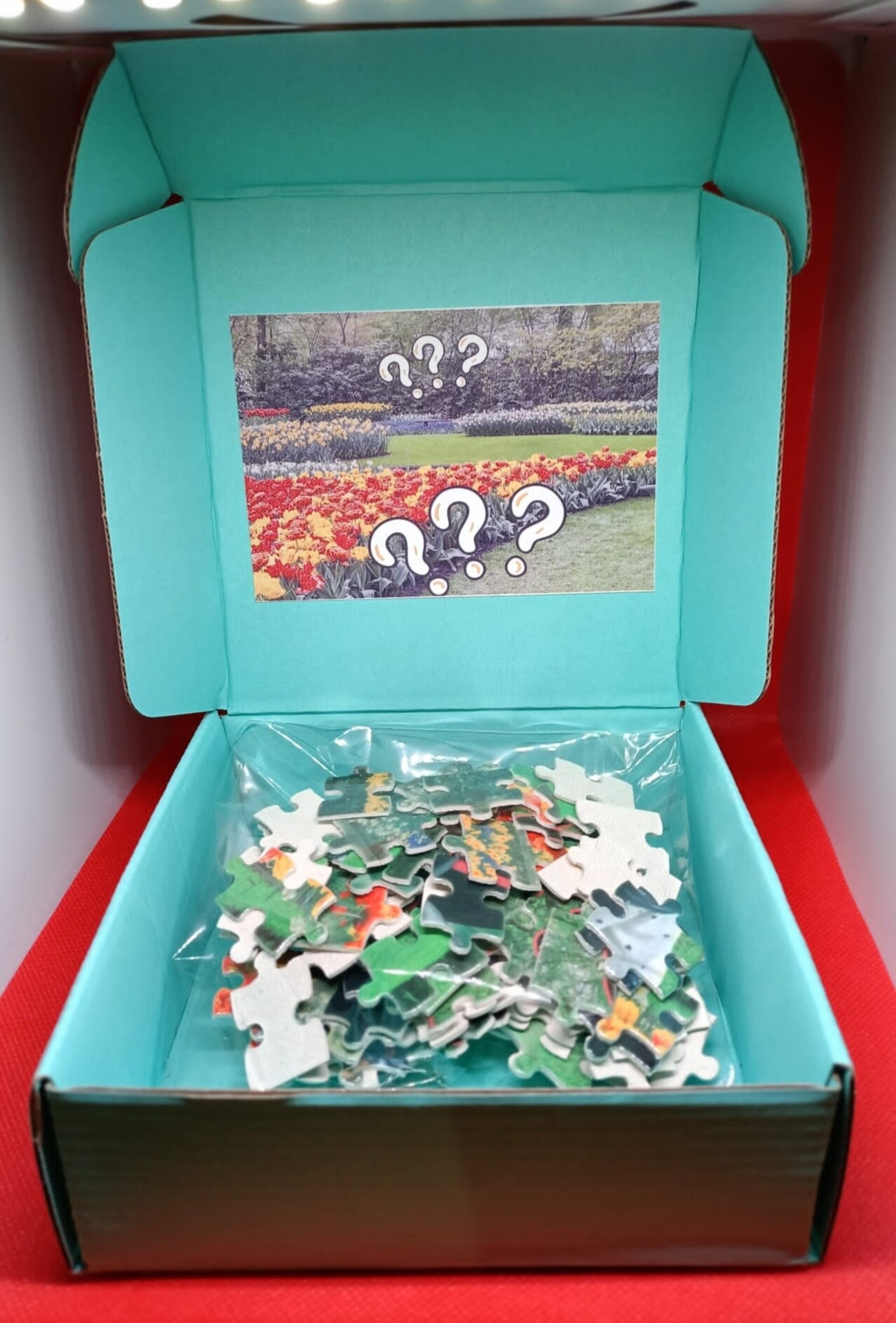 Puzzle Sorpresa - 9