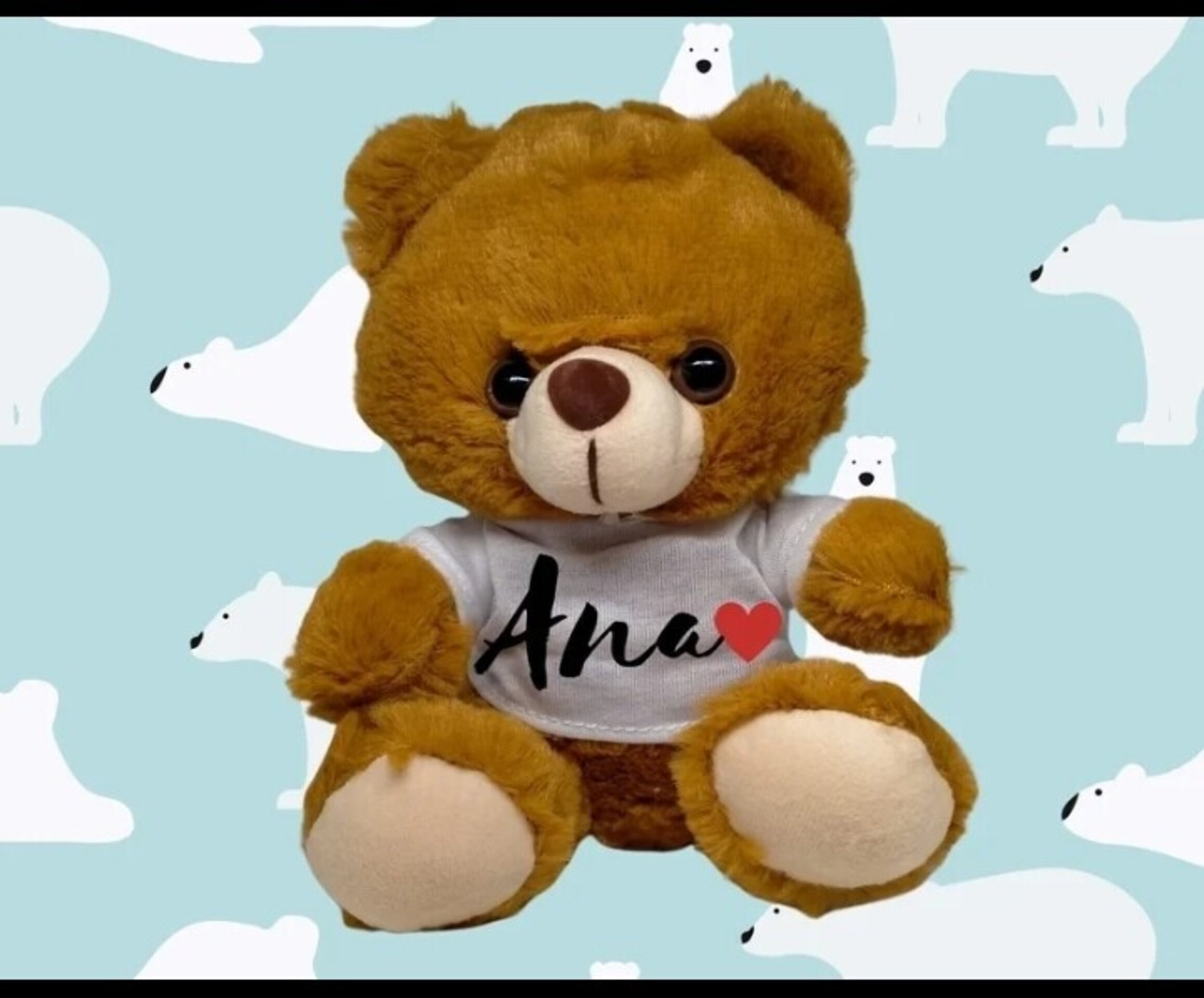 Oso de peluche personalizado - 2